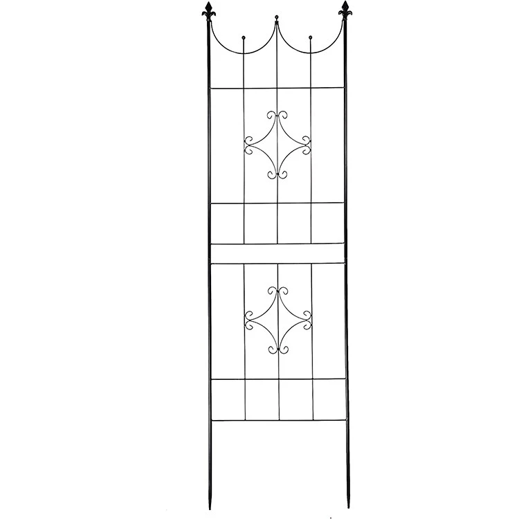 product-750-750